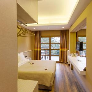 Comfort Double Room Mountain View